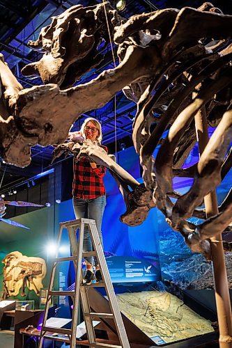MIKE DEAL / WINNIPEG FREE PRESS
Carolyn Sirett, Senior Conservator at the Manitoba Museum, cleans the Giant Ground Sloth.
The Manitoba Museum was closed for a week for a full scale cleaning of its public displays.
See Eva Wasney story
230913 - Wednesday, September 13, 2023.