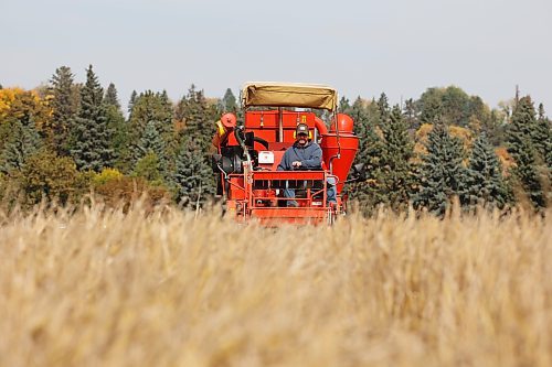 21092023
Research Assistant Bryan Graham operates a research combine during the harvest of barley plots at the Brandon Research and Development Centre to test for yield as part of the BRDC barley breeding program on a warm Thursday. 
(Tim Smith/The Brandon Sun)
