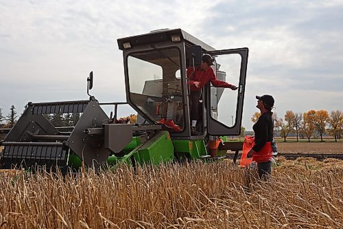 21092023
Research technicians Shelby Zatylny and Loni Powell have a discussion while harvesting and collecting barley from plots to be tested for yield as part of the Brandon Research and Development Centre barley breeding program on a warm Thursday. 
(Tim Smith/The Brandon Sun)