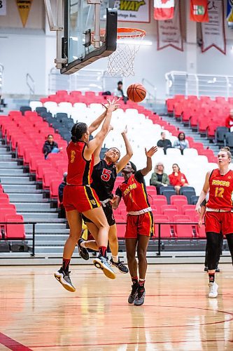 MIKAELA MACKENZIE / WINNIPEG FREE PRESS

Wesmen Alyssa Doneza (5) makes a shot while getting blocked by Dinos players during an inter squad basketball game at the Duckworth Centre on Friday, Sept. 22, 2023. For Taylor Allen story.
Winnipeg Free Press 2023