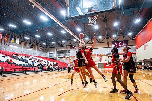 MIKAELA MACKENZIE / WINNIPEG FREE PRESS

Wesmen Tamiya Ness (6) and Dino Sydney Milum (2) go for the ball during an inter squad basketball game at the Duckworth Centre on Friday, Sept. 22, 2023. For Taylor Allen story.
Winnipeg Free Press 2023