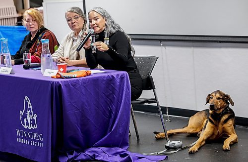 JOHN WOODS / WINNIPEG FREE PRESS
Election candidates, from left, LeAmber Kensley (Liberal), Janine Gibson (Green) and Nahanni Fontaine (NDP), and her dog Chilli, gathered for a debate on animal welfare at the Winnipeg Humane Society in Winnipeg Sunday, September  24, 2023. 

Reporter: ?