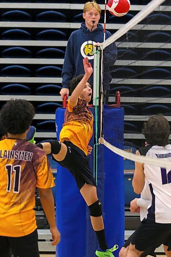 Crocus Plainsmen left side Lucas Canart stays off the net to keep the ball alive against the Vincent Massey Vikings on Saturday at the Brandon University varsity boys volleyball tournament. (Thomas Friesen/The Brandon Sun)