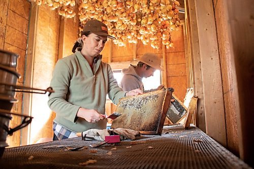 Mike Thiessen / Winnipeg Free Press 
Marnie Klassen (left), urban agricultural coordinator with A Rocha Manitoba, and Trey Dornn scrap wax off honey frames. Metanoia and A Rocha have held several workshops on sustainability practices at the farm. 230828 &#x2013; Monday, August 28, 2023