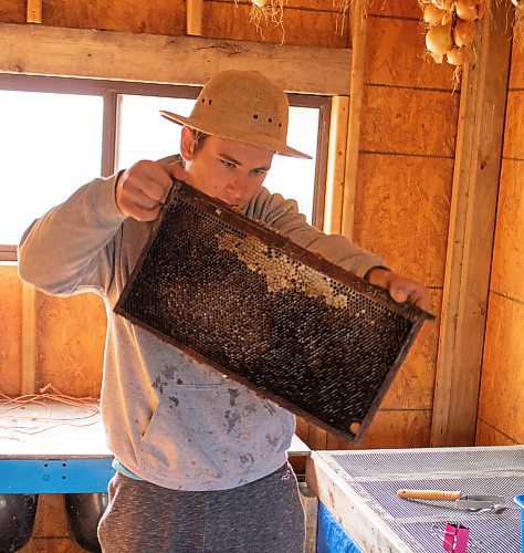 Mike Thiessen / Winnipeg Free Press 
Trey Dornn removes a honey frame from a beehive. Metanoia&#x2019;s bees, another new initiative this season, will benefit from the farm&#x2019;s effort to plant perennial native pollinators. 230828 &#x2013; Monday, August 28, 2023