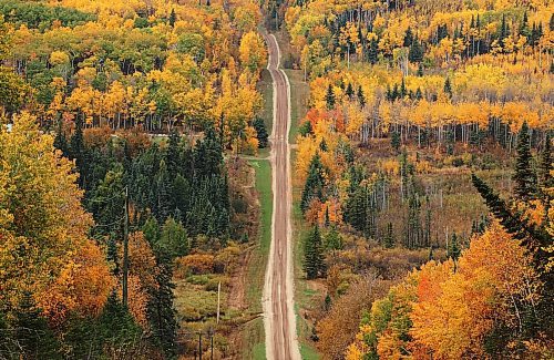 25092023
The foliage lining a grid road near Big Valley, Manitoba displays an array of fall colours on Monday.
(Tim Smith/The Brandon Sun)
