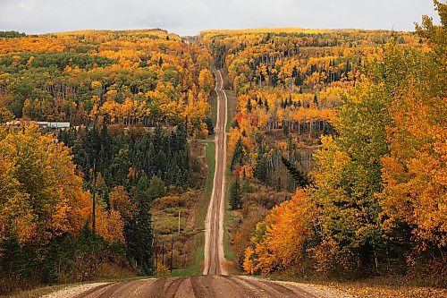 The foliage lining a grid road near Big Valley displays an array of fall colours on Monday. (Tim Smith/The Brandon Sun)