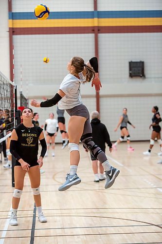 BROOK JONES / WINNIPEG FREE PRESS
University of Manitoba Bisons women's volleyball player five-foot-nine right side hitter Keziah Hoeppner goes up to hit the volleyball during a team practice. The management student is recovering from a torn ACL and meniscus. Hoeppner was pictured during a team practice at the Investors Group Athletic Centre on the Fort Garry Campus at the University of Manitoba in Winnipeg, Man., Tuesday, Sept. 26, 2023.