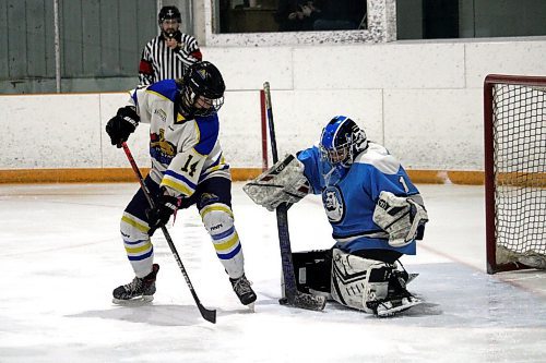 Karlyn Gudz, left, will be a key component of a Westman Wildcats team loaded with younger players for the 2023-24 Manitoba Female Hockey League U18 AAA season. (Brandon Sun files)
