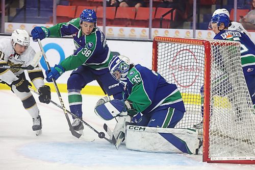 04102023
Nolan Flamand #91 of the Brandon Wheat Kings tries to get the puck past netminder Chase Coward #35 of the Prince Albert Raiders during WHL action at Westoba Place on Wednesday evening. (Tim Smith/The Brandon Sun) 