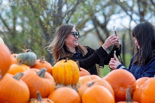 BROOK JONES / WINNIPEG FREE PRESS
Maoie Lizo (left) takes a selfie, while her daughter Julia takes a photo of pumpkins at Schwabe Pumpkins on the afternoon of Friday, Oct. 6, 2023. The mother and daughter were visiting the Manitoba attraction from B.C. Schwabe Pumpkins in the RM of St. Andrews is encouraging visitors to bring non-perishable food items to help fill a pumpkin bin worth of food to be dontated to the Selkirk Food Bank. Donations will be collected until Halloween. Schwabe Pumpkins is open Saturday from 10 a.m. to 6 p.m., Sunday and Thanksgiving Monday from 10 a.m. to 5 p.m. Things to do at Schwabe Pumpkins include: watre pump duck races, the small straw maze and pumpkin Tic Tac Toe. Wagons are also provided for pumpkin picking.