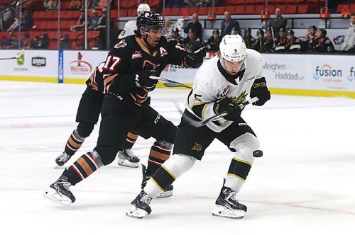 Brandon Wheat Kings defenceman Tre Fouqeutte (5) tries to knock the puck out of the air as Calgary Hitmen forward David Adaszynski (17) during the first period of their Western Hockey League game at Westoba Place on Saturday. (Perry Bergson/The Brandon Sun)
Oct. 7, 2023