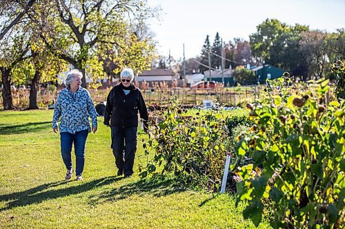 MIKAELA MACKENZIE / WINNIPEG FREE PRESS

Linda Wall, president of the Manitoba Horticultural Association (left), and Gayle Leverton, president of the St. James Horticultural Society, at the St. James Community Garden on Tuesday, Oct. 10, 2023. For Tyler story.
Winnipeg Free Press 2023.