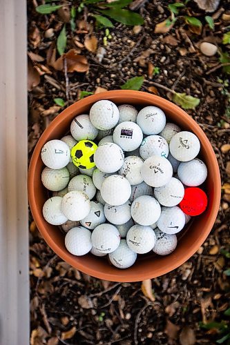 MIKAELA MACKENZIE / WINNIPEG FREE PRESS

A collection of errant golf balls at Karen Bryngelson&#x573; house (which is adjacent to the Glendale Golf Course) in Westwood on Thursday, Oct. 12, 2023. She says the course has not taken responsibility for damage caused to her house, instead saying that she would have to find the golfers for compensation. For Chris Kitching story.
Winnipeg Free Press 2023.