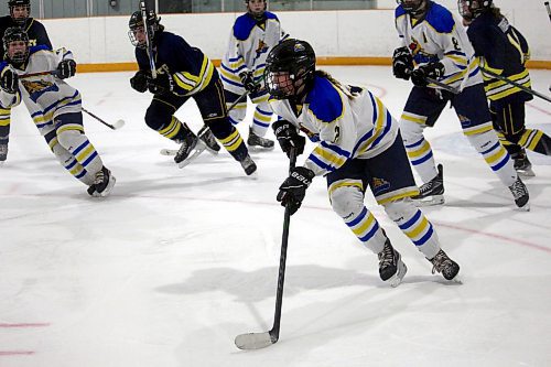 Westman Wildcats blue-liner Addi Vines has committed to the University of Manitoba Bisons women's hockey team for the 2024-25 Canada West season. (Brandon Sun files)
