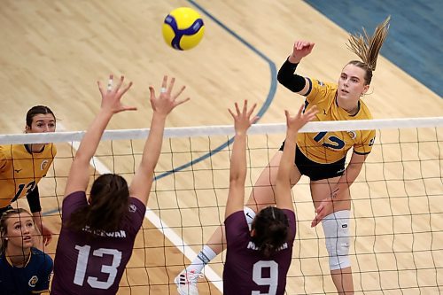Avery Burgar had 110 kills in 16 matches for the Brandon University Bobcats last Canada West women's volleyball season. Burgar's the only outside hitter back from last year's starting lineup. (Tim Smith/The Brandon Sun)