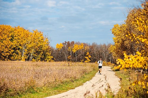 MIKAELA MACKENZIE / WINNIPEG FREE PRESS

Sheldon Pohl, who is training for a marathon this December, enjoys the fall foliage while on a run at Assiniboine Forest on Thursday, Oct. 19, 2023. The weather is forecasted to turn cooler next week, so these may be among the last of the pleasant autumn days. Standup.
Winnipeg Free Press 2023.