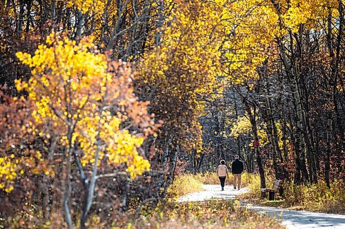 MIKAELA MACKENZIE / WINNIPEG FREE PRESS

Lori and Craig Sommerville enjoy the fall foliage at Assiniboine Forest on Thursday, Oct. 19, 2023. The weather is forecasted to turn cooler next week, so these may be among the last of the pleasant autumn days. Standup.
Winnipeg Free Press 2023.