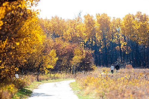 MIKAELA MACKENZIE / WINNIPEG FREE PRESS

Lori and Craig Sommerville enjoy the fall foliage at Assiniboine Forest on Thursday, Oct. 19, 2023. The weather is forecasted to turn cooler next week, so these may be among the last of the pleasant autumn days. Standup.
Winnipeg Free Press 2023.