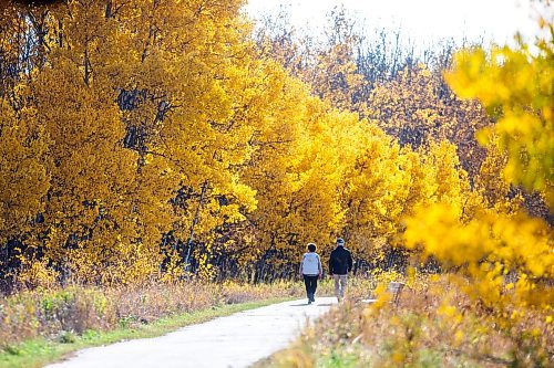 MIKAELA MACKENZIE / WINNIPEG FREE PRESS

Lori and Craig Sommerville enjoy the fall foliage at Assiniboine Forest on Thursday, Oct. 19, 2023. The weather is forecasted to turn cooler next week, so these may be among the last of the pleasant autumn days. Standup.
Winnipeg Free Press 2023.