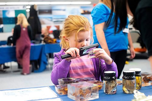MIKAELA MACKENZIE / WINNIPEG FREE PRESS

Finley Salo, five, checks out indicator specimen samples at a the Canadian Beaufort Sea Marine Ecosystem Assessment project table at the Freshwater Institute (FWI) open house on Thursday, Oct. 19, 2023. Located at the Fort Garry campus, the open house allowed visitors the opportunity to see first-hand some of the research being done at the FWI, which houses laboratory facilities dedicated to Fisheries and Oceans Canada&#x573; feshwater and Arctic research.  Standup.
Winnipeg Free Press 2023.