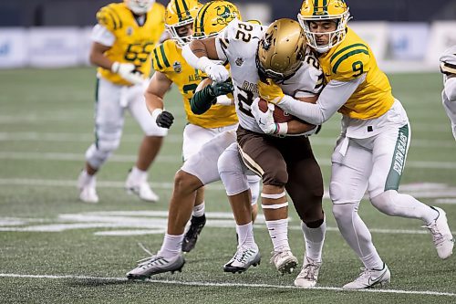 BROOK JONES / WINNIPEG FREE PRESS
The University of Manitoba Bison host the University of Alberta Golden Bears in Canada West football at IG Field in Winnipeg, Man., Friday, Oct. 20, 2023. Pictured: U of M Bisons running back Breydon Stubbs runs with the football as U of A Golden Bears defensive back tries to bring him down during first quarter action. The Golden Bears earned a 35 to 25 victory over the Bisons.