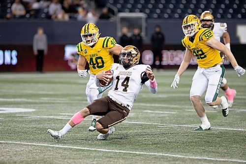 BROOK JONES / WINNIPEG FREE PRESS
The University of Manitoba Bison host the University of Alberta Golden Bears in Canada West football at IG Field in Winnipeg, Man., Friday, Oct. 20, 2023. Pictured: U of M Bisons quarterback Jackson Tachinski runs with the football during first quarter action. The Golden Bears earned a 35 to 25 victory over the Bisons. 