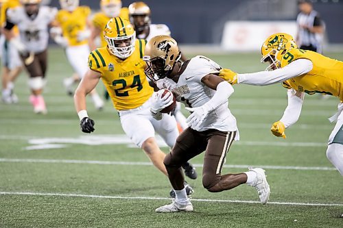 BROOK JONES / WINNIPEG FREE PRESS
The University of Manitoba Bison host the University of Alberta Golden Bears in Canada West football at IG Field in Winnipeg, Man., Friday, Oct. 20, 2023. Pictured: U of M Bisons receiver Ak Gassama runs with the football as U of A Golden Bears defensive back Romeo Nash pulls on his jersey during second quarter action. The Golden Bears earned a 35 to 25 victory over the Bisons.