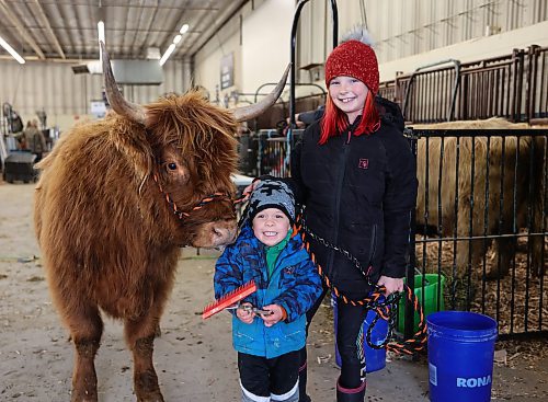 Gracie Wilkinson, 12, and her younger brother, three-year-old Grizz, with Jaffa Cake, their two-year-old Scottish Highland cow, from Komarno, Man., during the Ag Ex move-in day on Tuesday in Brandon. (Michele McDougall/The Brandon Sun) 
