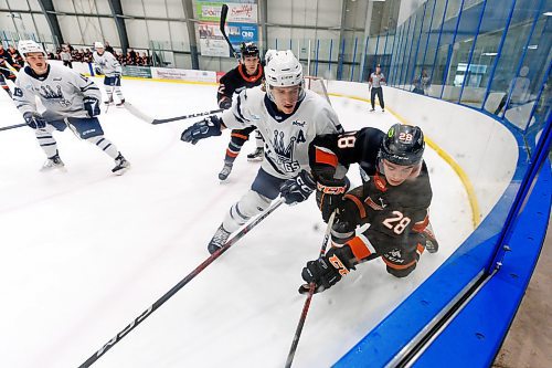 MIKE DEAL / WINNIPEG FREE PRESS
Winkler Flyers&#x2019; Nicholas McKee (28) and Dauphin Kings&#x2019; Anthony Bax (7) grind it out in the corner for the puck during game action at the Seven Oaks Sportsplex Tuesday afternoon.
See Mike Sawatzky story
231024 - Tuesday, October 24, 2023.