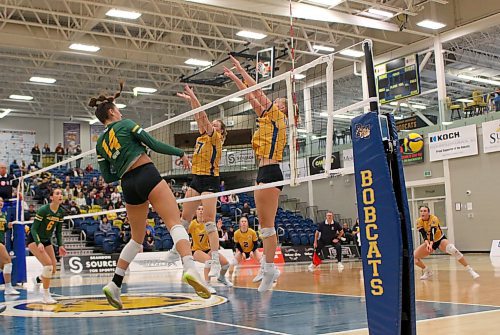 Laila Johnston attacks a ball for the Alberta Pandas against the Brandon University Bobcats in Canada West women's volleyball action at the Healthy Living Centre on Friday. Alberta won 3-0. See Page B1 for the story. (Thomas Friesen/The Brandon Sun)