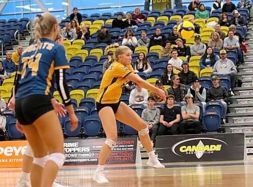 Laura Ramsey passes a ball as the Brandon University Bobcats play the Alberta Pandas in Canada West women's volleyball action at the Healthy Living Centre on Friday. Alberta won 3-0. See Page B1 for the story. (Thomas Friesen/The Brandon Sun)
