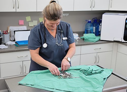 Heather Creasy, staff member at the Carberry Small Animal Veterinary Clinic prepares the surgical instruments for the next procedure at the clinic on Tuesday. (Michele McDougall/The Brandon Sun)