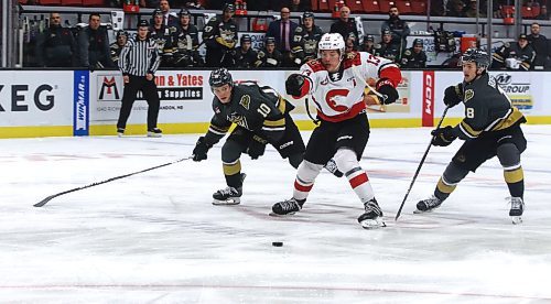 Prince George Cougars forward Koehn Ziemmer (13) tries to break between Brandon Wheat Kings forwards Caleb Hadland (10) and Rylen Roersma (18) during first period Western Hockey League action at Westoba Place on Wednesday evening. The Brandon duo were able to knock the puck away. (Perry Bergson/The Brandon Sun)
Nov. 1, 2023