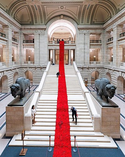 MIKE DEAL / WINNIPEG FREE PRESS
The Poppy Blanket is unrolled by creator, Sheila Lee Restall, and Manitoba Legislative building maintenance staff, including Brad Robertson, Chief of Protocol, Monday morning.
First unveiled in November of 2019 the Poppy Blanket is an 85 foot long collection of over 8000 handmade poppies and thousands of dedicated ribbons. It was made in less than a year between 2018 and 2019 by the Handmade Winnipeg Facebook group community.
231106 - Monday, November 06, 2023.