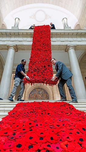 MIKE DEAL / WINNIPEG FREE PRESS
Manitoba Legislative building maintenance staff, Tesfay Fanta (bottom left) and Brad Robertson (bottom right), Manitoba&#x2019;s Chief of Protocol, unroll a section of the Poppy Blanket, Monday morning.
First unveiled in November of 2019 the Poppy Blanket is an 85 foot long collection of over 8000 handmade poppies and thousands of dedicated ribbons. It was made in less than a year between 2018 and 2019 by the Handmade Winnipeg Facebook group community.
231106 - Monday, November 06, 2023.