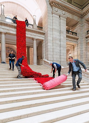 MIKE DEAL / WINNIPEG FREE PRESS
Sheila Lee Restall (left), creator of the Poppy Blanket, Manitoba Legislative building maintenance staff, Tesfay Fanta (second from left), Susan Wakeman (second from right), one of the volunteers that help maintain the Poppy Blanket, and Brad Robertson (right), Manitoba&#x2019;s Chief of Protocol, unroll a section of the Poppy Blanket, Monday morning.
First unveiled in November of 2019 the Poppy Blanket is an 85 foot long collection of over 8000 handmade poppies and thousands of dedicated ribbons. It was made in less than a year between 2018 and 2019 by the Handmade Winnipeg Facebook group community.
231106 - Monday, November 06, 2023.