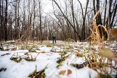 MIKAELA MACKENZIE / WINNIPEG FREE PRESS

Gerald Tole in the forest near Lemay Avenue on Monday, Nov. 6, 2023. He is concerned, as the 22 acres of forest near his home is slated to be developed.
Winnipeg Free Press 2023.