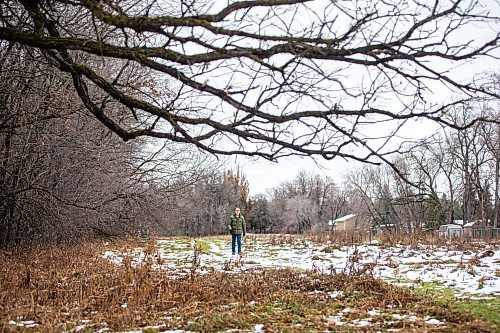 MIKAELA MACKENZIE / WINNIPEG FREE PRESS

Gerald Tole in the forest near Lemay Avenue on Monday, Nov. 6, 2023. He is concerned, as the 22 acres of forest near his home is slated to be developed.
Winnipeg Free Press 2023.