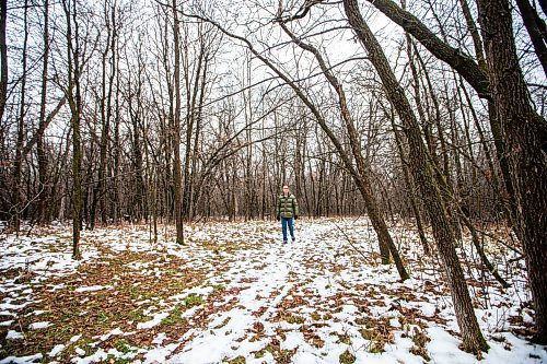 MIKAELA MACKENZIE / WINNIPEG FREE PRESS

Gerald Tole in the forest near Lemay Avenue on Monday, Nov. 6, 2023. He is concerned, as the 22 acres of forest near his home is slated to be developed.
Winnipeg Free Press 2023.