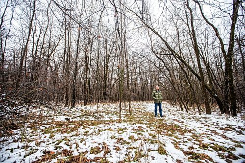 MIKAELA MACKENZIE / WINNIPEG FREE PRESS

Gerald Tole in the forest near Lemay Avenue on Monday, Nov. 6, 2023. He is concerned, as the 22 acres of forest near his home is slated to be developed.
Winnipeg Free Press 2023.