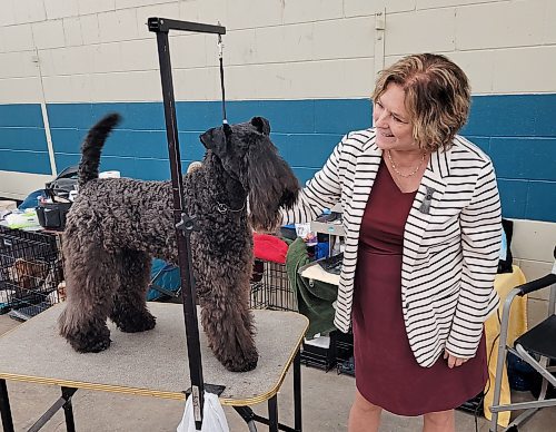 Linda Lee smiles at Rollo, her 20-month-old Kerry Blue Terrier, on Saturday during the Wheat City Kennel Club Dog Show. Lee and Rollo travelled from Sandy Hook, Man., 279 kilometres northeast of Brandon, to take part in the event, which ran from Thursday to Sunday. See story on Page A2. (Miranda Leybourne/The Brandon Sun)