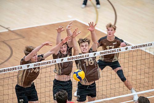 BROOK JONES / WINNIPEG FREE PRESS.
The University of Manitoba Bisons play host to the visiting Calgary Dinos in Canada West men's volleyball action inside Investors Group Athletic Centre at the University of Manitoba Fort Garry campus in Winnipeg, Man., Thursday, Nov. 9, 2023. The U of C Dinos earned a 3-1 (25-17, 18-25, 25-21 and 25-15) victory over the U of M Bisons. Pictured left ro right: U of M Bisons setter Sammy Ludwig, middle Jonah Dueck and left-side Spencer Grahame react to blocking the volleyball during the third set as teammate middle Jordon Heppner watches.