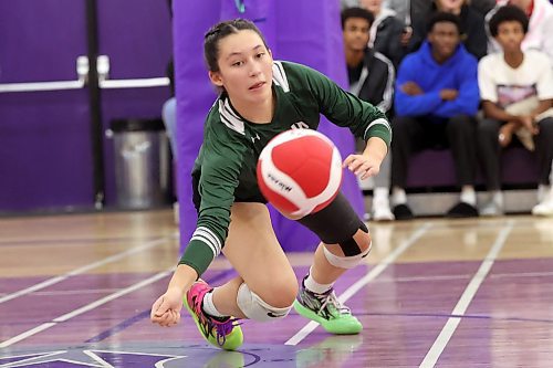 09112023
Tyra Lasuik #11 of the Neelin Spartans dives for the ball during match two of the varsity girls city championship against the Vincent Massey Vikings at VMHS on Thursday evening. The Vikings won the first match of the series prior to Thursday&#x2019;s match.  (Tim Smith/The Brandon Sun)