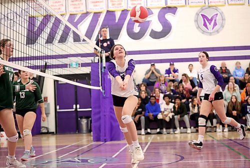 09112023
Macy Snyder #8 of the Vincent Massey Vikings digs the ball during match two of the varsity girls city championship against the Neelin Spartans at VMHS on Thursday evening. The Vikings won the first match of the series prior to Thursday&#x2019;s match.  (Tim Smith/The Brandon Sun)
