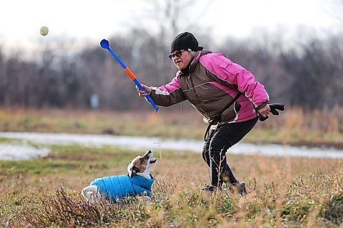 RUTH BONNEVILLE / WINNIPEG FREE PRESS
 
Standup - Playing fetch

Margorie Ramus plays fetch with her dog Ollie, a 4-year-old Jack Russell, at Maple Grove Park Tuesday afternoon.  Ramus says she takes Ollie to the dog park at lest 5 x per week for therapeutic purposes and to keep Ollie from becoming too restless at home.  

                    
Nov 14th,, 2023