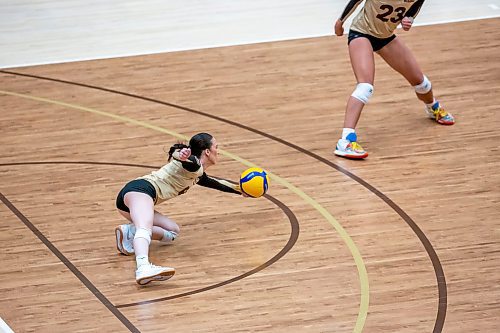 BROOK JONES / WINNIPEG FREE PRESS
The University of Manitoba Bisons play host to the visiting Mount Royal Cougars in Canada West women's volleyball action inside Investors Group Athletic Centre at the University of Manitoba Fort Garry campus in Winnipeg, Man., Friday, Nov. 17, 2023. The Bisons earned a 3-0 (25-13, 25-19, 25-21) victory over the Cougars. Pictured: U of M Bisons left back Emma Benson digs the volleyball during the third set.