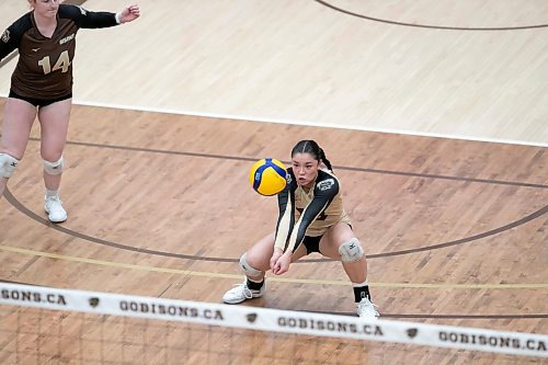 BROOK JONES / WINNIPEG FREE PRESS
The University of Manitoba Bisons play host to the visiting Mount Royal Cougars in Canada West women's volleyball action inside Investors Group Athletic Centre at the University of Manitoba Fort Garry campus in Winnipeg, Man., Friday, Nov. 17, 2023. The Bisons earned a 3-0 (25-13, 25-19, 25-21) victory over the Cougars. Pictured: U of M Bisons left side Andi Almonte bumps the volleyball during second set action.