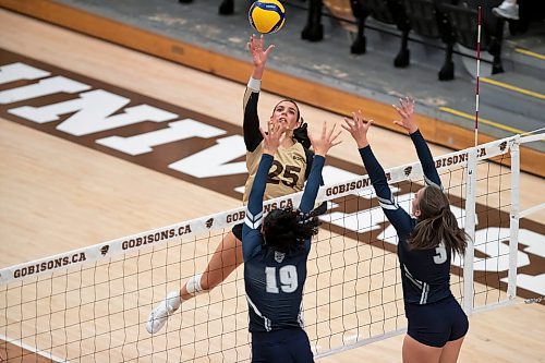 BROOK JONES / WINNIPEG FREE PRESS
The University of Manitoba Bisons play host to the visiting Mount Royal Cougars in Canada West women's volleyball action inside Investors Group Athletic Centre at the University of Manitoba Fort Garry campus in Winnipeg, Man., Friday, Nov. 17, 2023. The Bisons earned a 3-0 (25-13, 25-19, 25-21) victory over the Cougars. Pictured: U of M Bisons left side Raya Surinx taps the volleyball over the net during second set action.