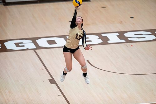 BROOK JONES / WINNIPEG FREE PRESS
The University of Manitoba Bisons play host to the visiting Mount Royal Cougars in Canada West women's volleyball action inside Investors Group Athletic Centre at the University of Manitoba Fort Garry campus in Winnipeg, Man., Friday, Nov. 17, 2023. The Bisons earned a 3-0 (25-13, 25-19, 25-21) victory over the Cougars. Pictured: U of M Bisons left side Andi Almonte serves the volleyball during second set action.